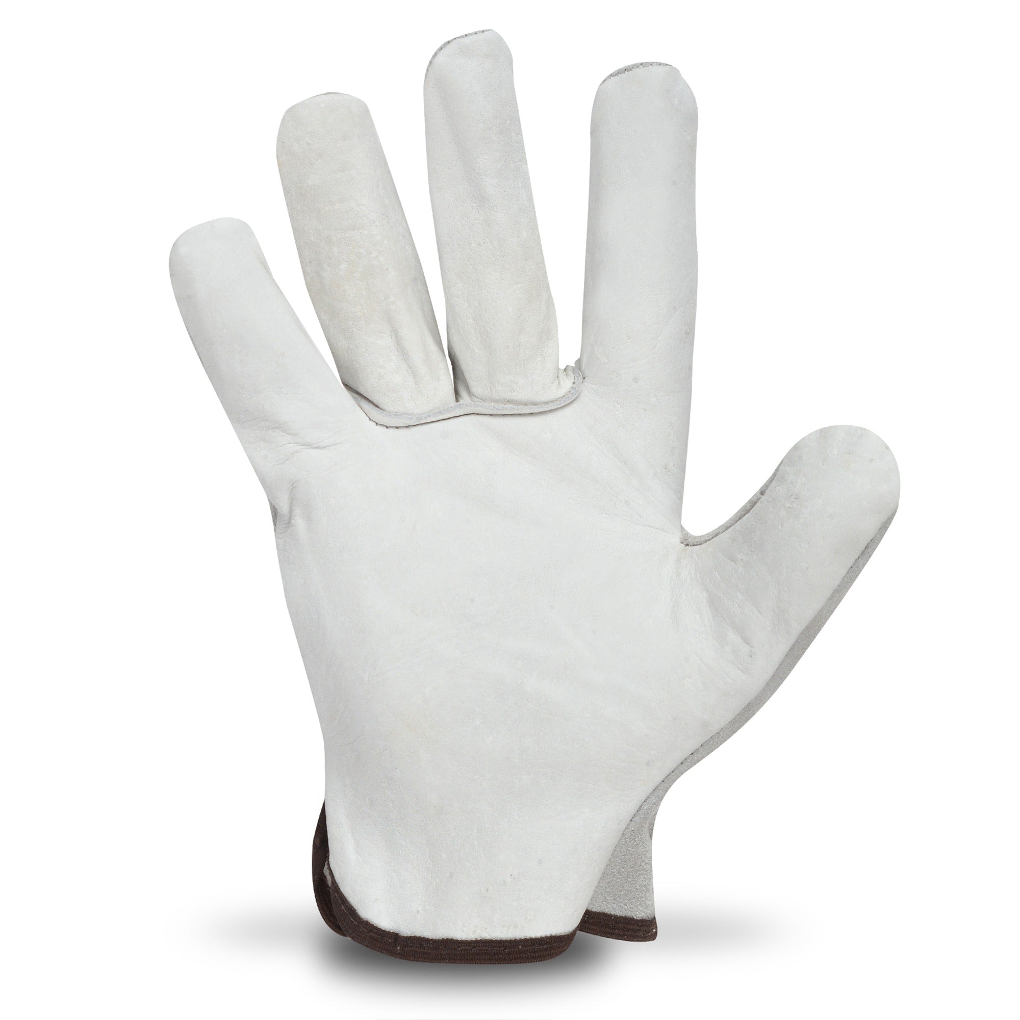 TRULINE Truline A176352 Leather Driver Gloves (Size M)