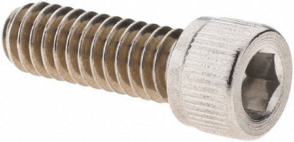 VALUE COLLECTION Value Collection 92028 Hex Socket Cap Screw 1/4-20 Unc