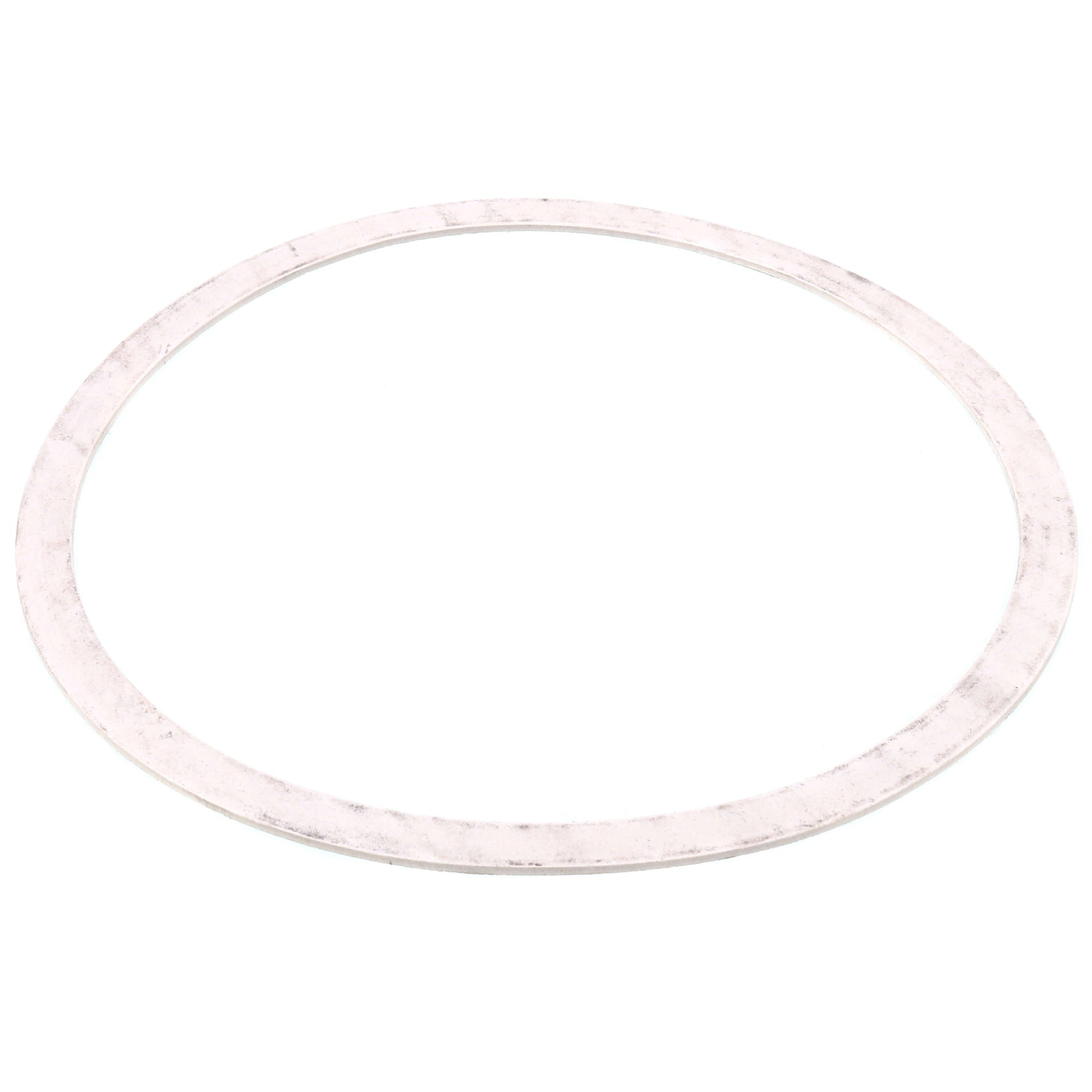 ARMSTRONG PUMPS Armstrong Pumps 426401-002 Casing Gasket 1 Pack