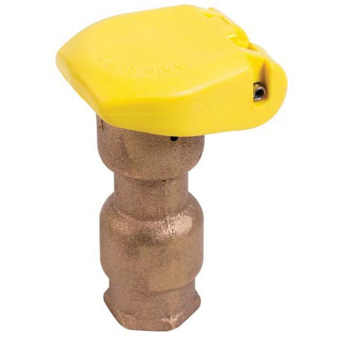 Rain Bird B10603 Quick Coupling Valve, 3/4 in, Brass