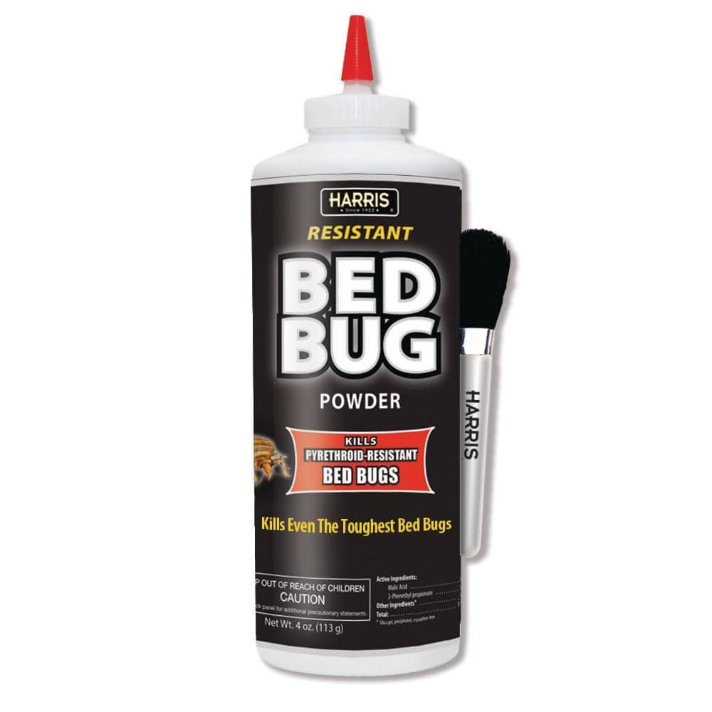 HARRIS Harris BLKBB-P4 Bed Bug Powder 4 oz Pack