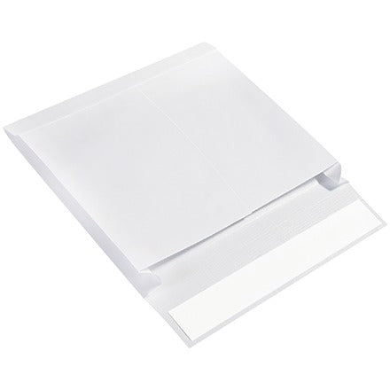BSC PREFERRED Bsc Preferred SLE10132WS Ship-lite Envelopes 100 Per Case