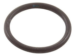 Zodiac Pool Systems 48-141 Polaris Feed Hose Connector O-Ring