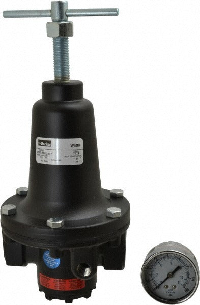 PARKER Parker R119-06CG/M2 Air Regulator 3/4 Inch Npt 300 Psi
