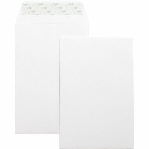 BUSINESS SOURCE Business Source BSN42122 Catalog Envelope 6x9 Self-seal 100-pack