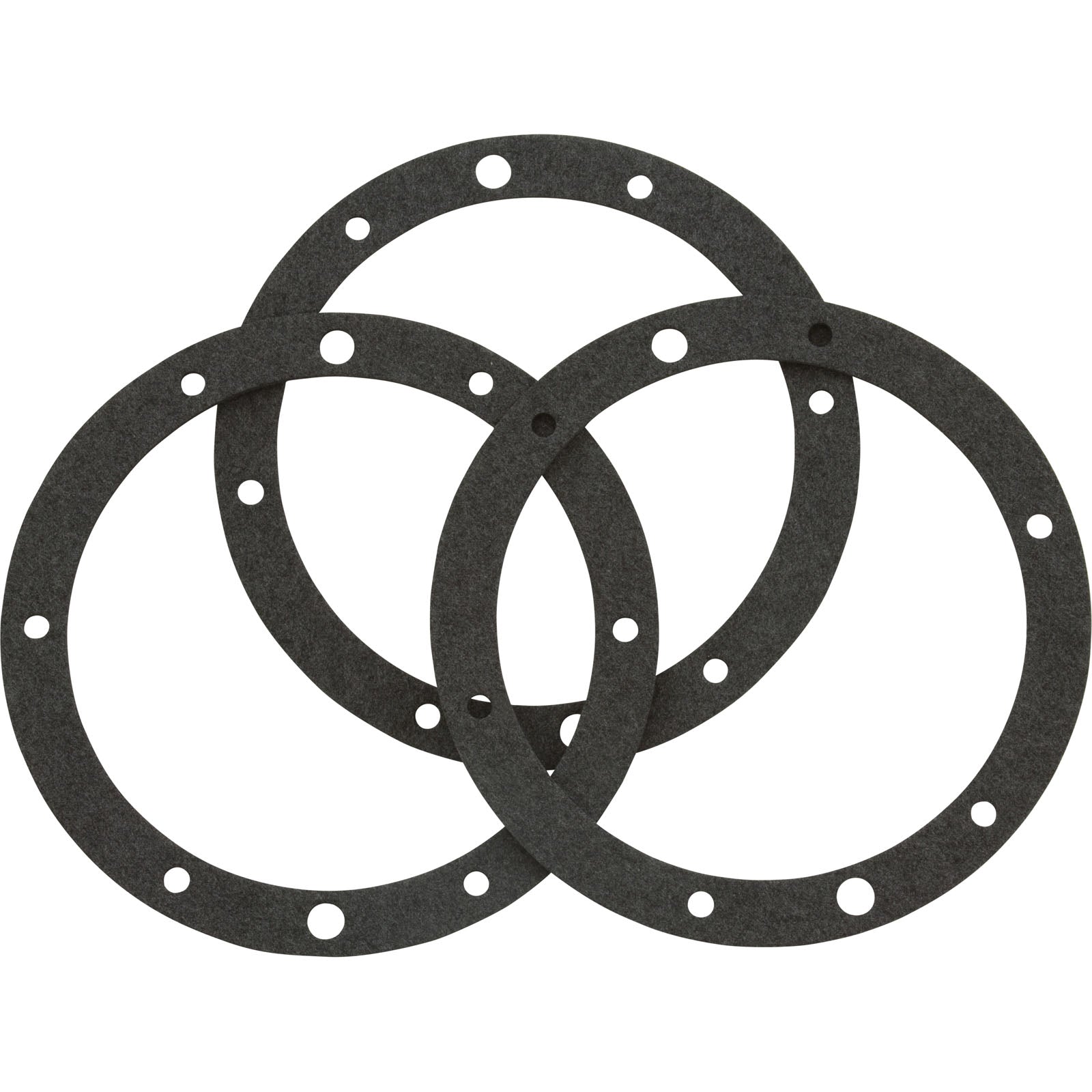 Pentair 79204603 Small Niche Gasket Set Without Double Wall Gasket