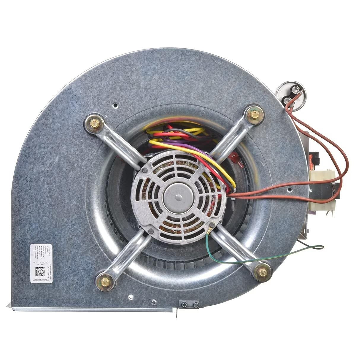 RHEEM RHEEM AS-101931-03 Blower Assembly