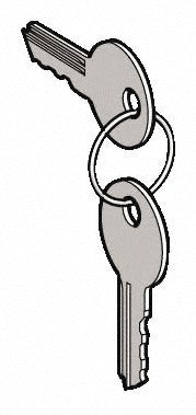 SCHNEIDER ELECTRIC Schneider Electric ZBG421E Pushbutton Switch Key Pack of 2
