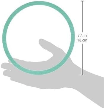 ARMSTRONG PUMPS Armstrong Pumps 426401-002 Casing Gasket 1 Pack