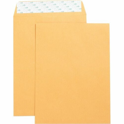 BUSINESS SOURCE Business Source BSN42120 Kraft Catalog Envelope 9x12 Box of 250