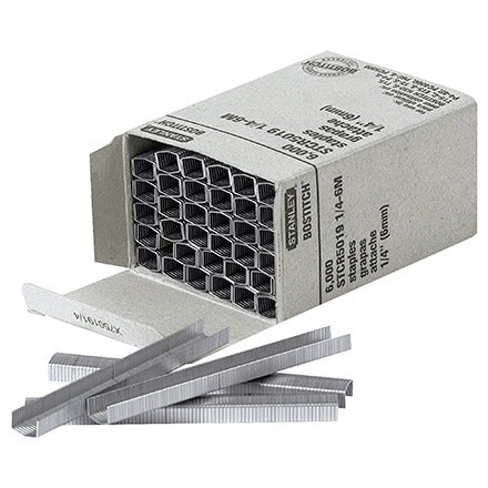 BSC PREFERRED Bsc Preferred ST155 Box Staples 6000 Per Case