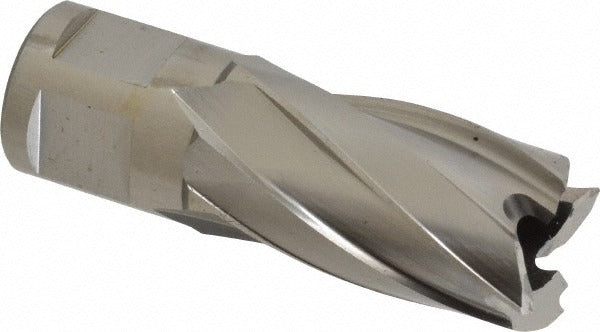 HOUGEN Hougen 12320 Annular Cutter 0.7874 in Hss Weldon