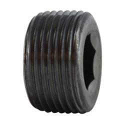 MIDLAND INDUSTRIES Midland Industries 67769 Hex Socket Countersunk Plug 2in Mnpt