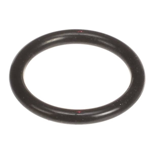 Rinnai 109000252 O-Ring