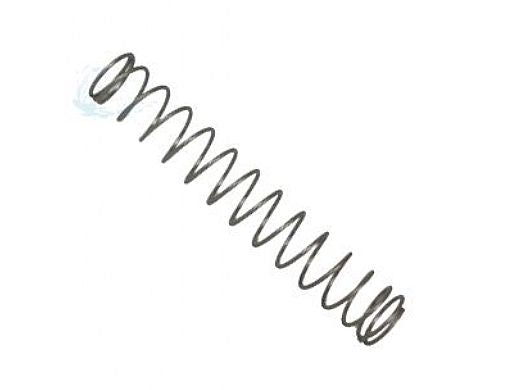 Pentair 072523 Pentair Ortega Check Valve Spring, SS 1lb