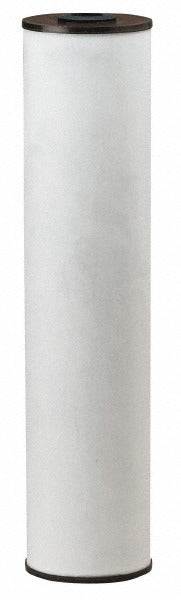 PENTAIR Pentair 155263-03 Iron Reduction Cartridge Filter 20 in