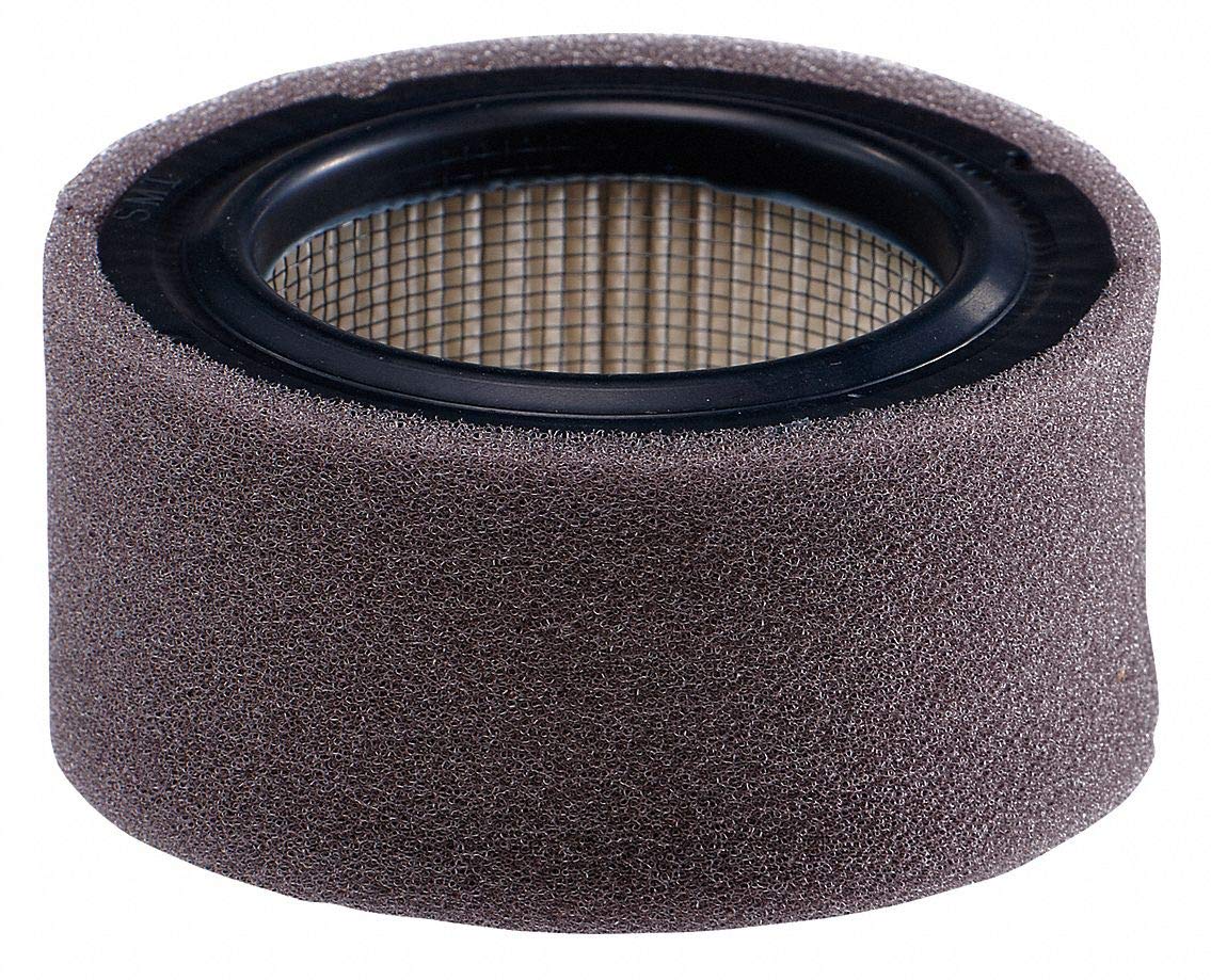 Johnson Controls A-4000-613 Intake Air Filter 30 scfm Capacity 1-1/4 NPT Connection