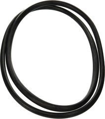 Zodiac R0357800 Tank O-Ring Replacement for Select Zodiac D.E. and Cartridge Pool and Spa Filters