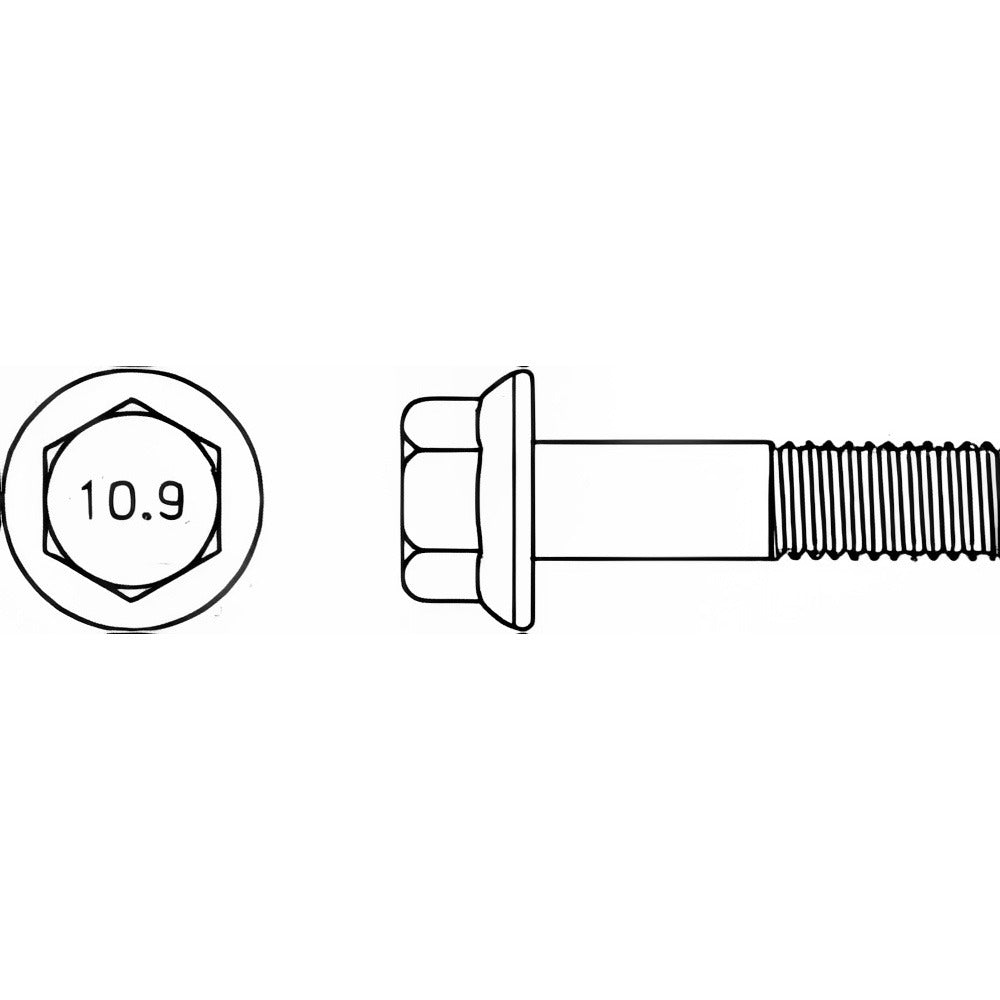 VALUE COLLECTION Value Collection 427147MSC Smooth Flange Bolt M6 X 1