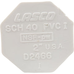 Lasco 449-020 2 Spigot Pool & Spa Pipe Fitting Plug