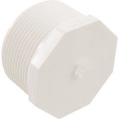 Lasco 450-025 Plug 2 1/2 MPT