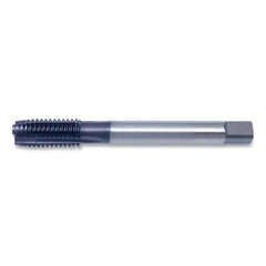 Cleveland C96128 Spiral Point Tap 3/4-10 Plug UNC 4 Flutes Steam Oxide