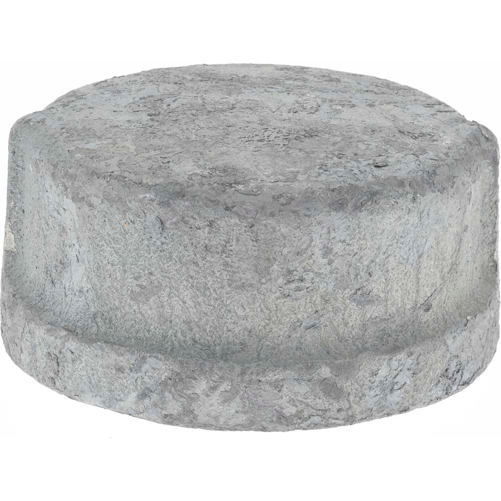 VALUE COLLECTION Value Collection G300 65 Malleable Iron End Cap 2-1/2 in