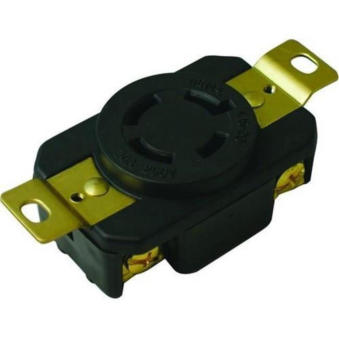 MORRIS PRODUCTS Morris Products 89743 Locking Receptacle 20A 250V (2-Pack)