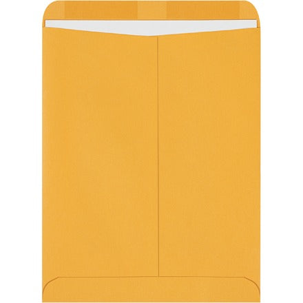 BSC PREFERRED Bsc Preferred EN1012 Catalog Envelopes 28 Lb 250 Per Case