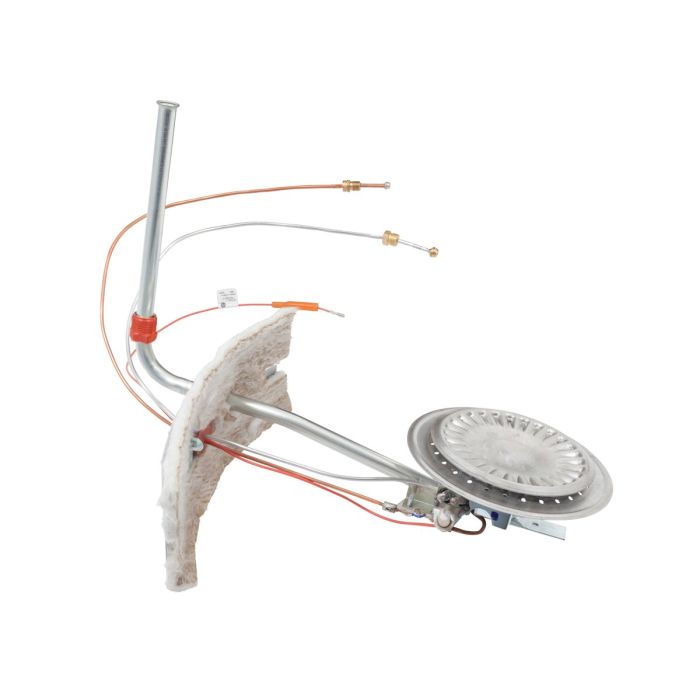 AO SMITH 9003546005 BURNER ASSEMBLIES