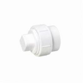 MUEL 06002 PVC DWV Cleanout Adapter with Plug 2 Inch Spigot x FPT End