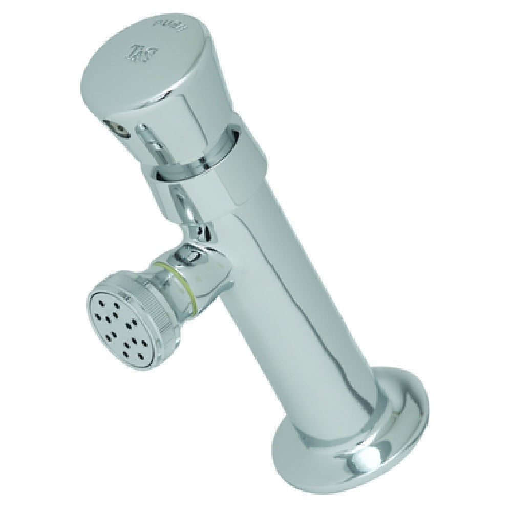 T&S BRASS T&S Brass B-0800 Single Temperature Self-Closing Metering Faucet 2.2 GPM (Wall Mount)