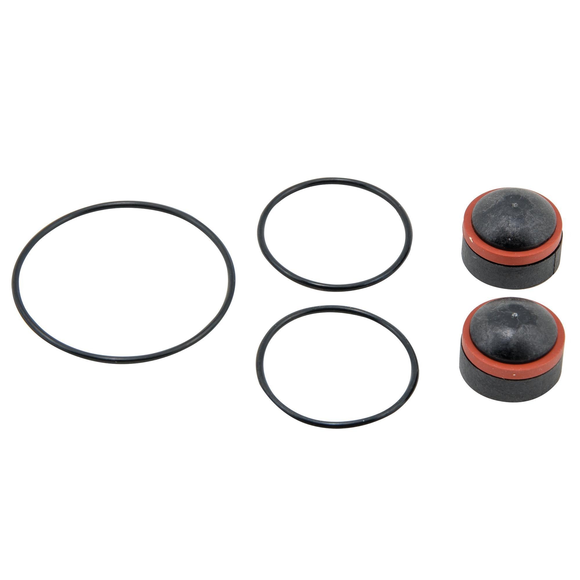 WATTS Watts 0887003 Check Rubber Repair Kit for 009M2 (3/4 in Kit) Ames 7016648