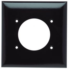 Pass & Seymour 3862 WALLPLATE STD 2 5IN H X 4.56INW BR