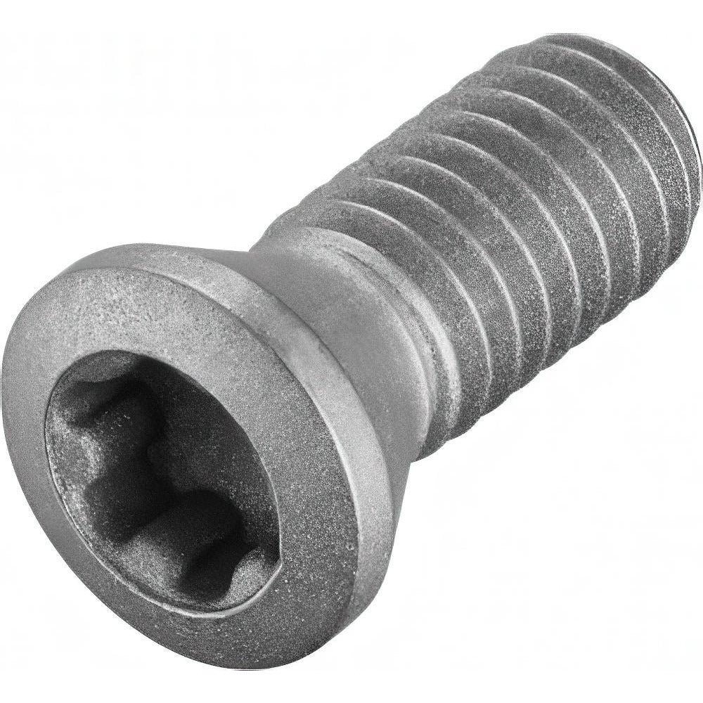 WALTER Walter 5589821 Torx Plus Drive Screw Indexable