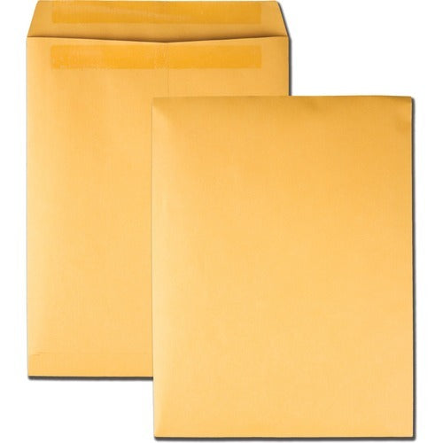 QUALITY PARK Quality Park QUA43767 Redi-seal 10x13 Envelope Box 100