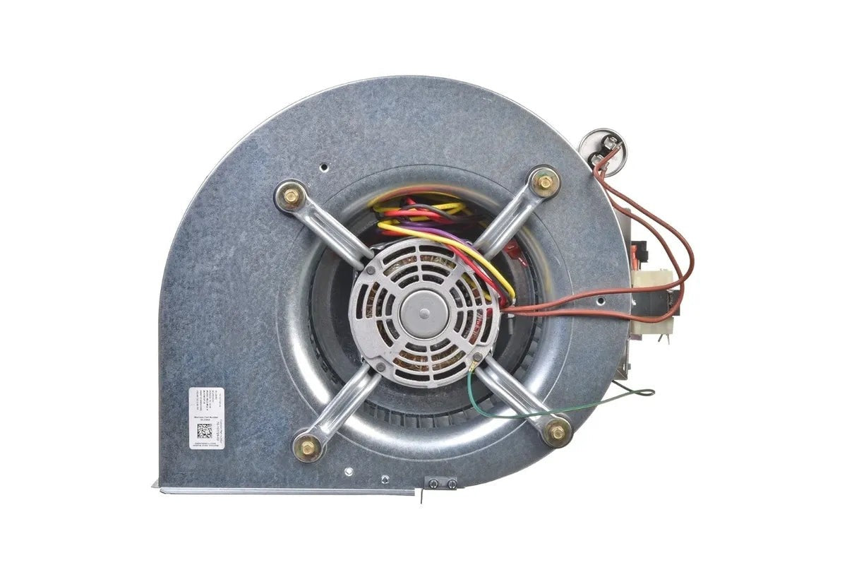 RHEEM RHEEM AS-101931-03 Blower Assembly