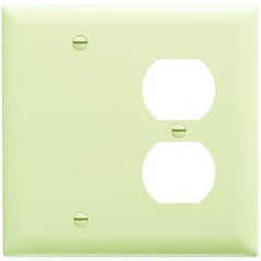 Pass & Seymour TP138I WALLPLATE COMBINATION 2 5-1/2IN IVORY