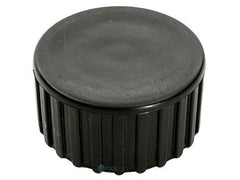 Pentair 32185-7074 Drain Cap Assembly with Washer PRC Series Filter Systems