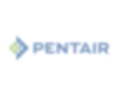 Pentair WC37-386P Vent Tube | 22In | Replacement MPN