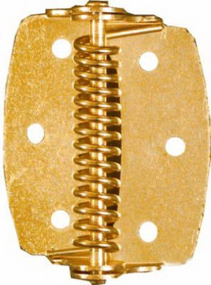 NATIONAL HARDWARE National Mfg N240-481 Spring Hinge 2 in Bright Brass 2 Pack