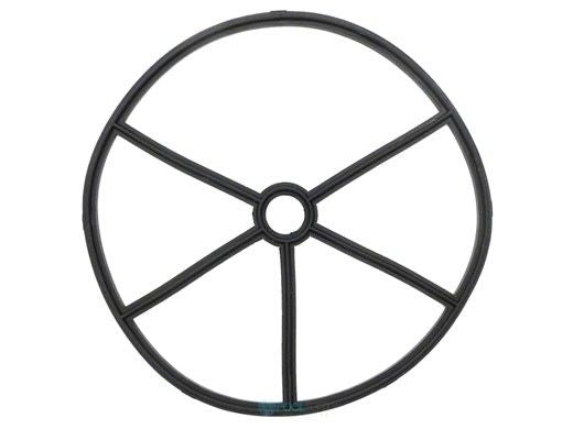 Pentair 14971-SM20E12 Gasket | Replacement Parts