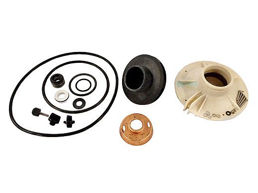 Pentair PP4012 Overhaul Seal/Gasket Kit