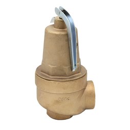 Laars A0000300 Relief Valve 75 Pounds per Square Inch 1-1/4 x 1-1/2 Inch