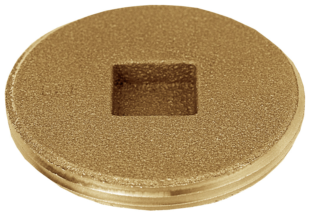 SIOUX CHIEF Sioux Chief 877-20 Countersunk Flush Plug (2 inch)