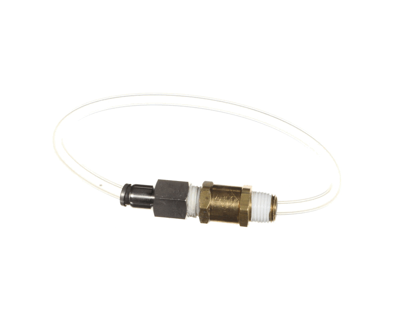 ANTUNES Antunes 7002574 Check Valve Kit (Each) AJA7002574