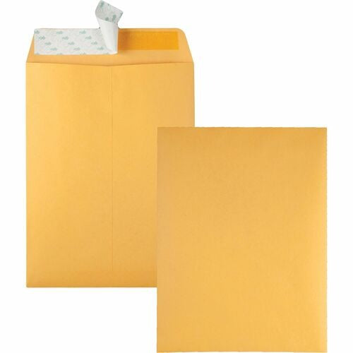 QUALITY PARK Quality Park QUA44562 Kraft Envelope 9x12 Inches Box 100