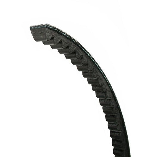 JASON INDUSTRIAL Jason Industrial BX36 Cogged Classical V-Belt 21/32 in Top Width 13/32 in Thick