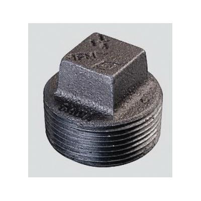 NDL INDUSTRIES Ndl Industries BPF101-12 3/4 Inch Plug (3/4 Inch)