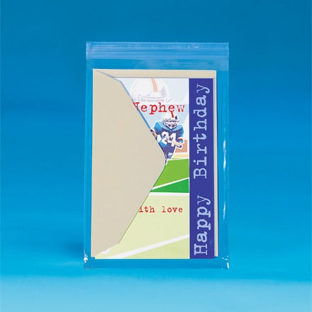 BSC PREFERRED Bsc Preferred PBR115 Reclosable Poly Bags 1000/case